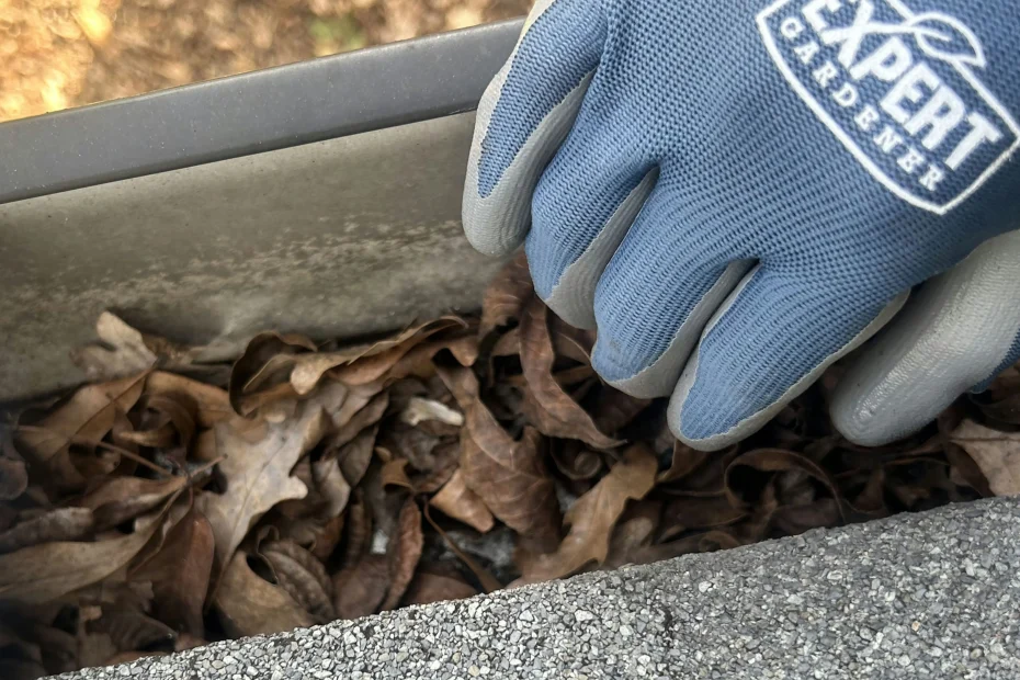 Delhi Gutter Cleaning