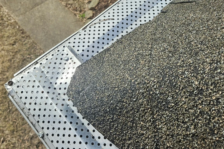 Delhi Gutter Cleaning