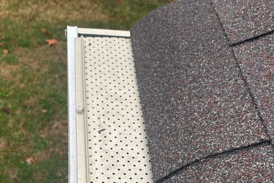 Delhi Gutter Cleaning